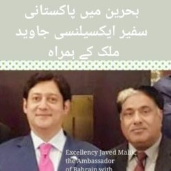 WhatsApp Image 2025-09-17 at 08.50.12_388b6092